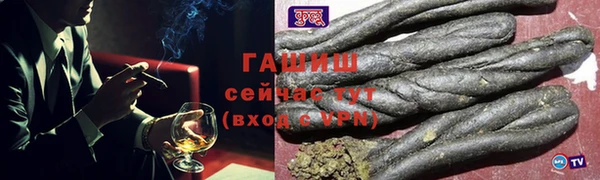 spice Богородицк