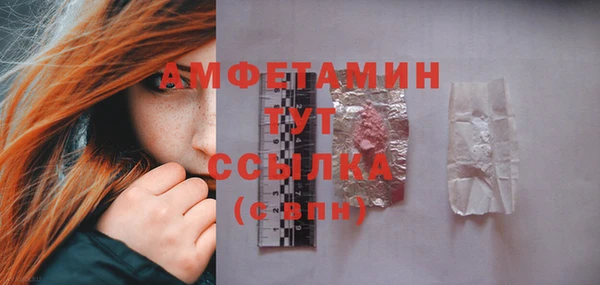 ECSTASY Богданович