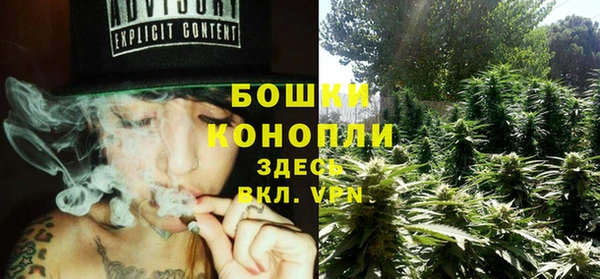 трава Бородино