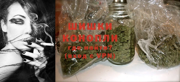 трава Бородино