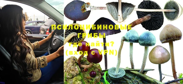 трава Бородино