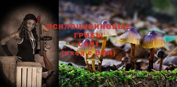 прущие крисы Бронницы
