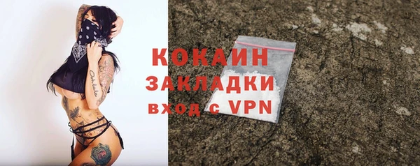 трава Бородино