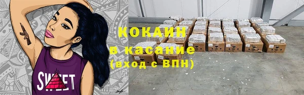 трава Бородино