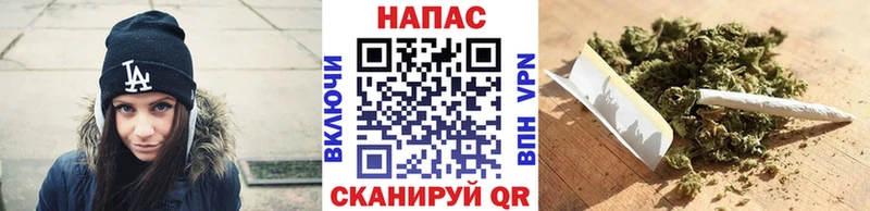 Бошки марихуана марихуана  продажа наркотиков  Хабаровск 